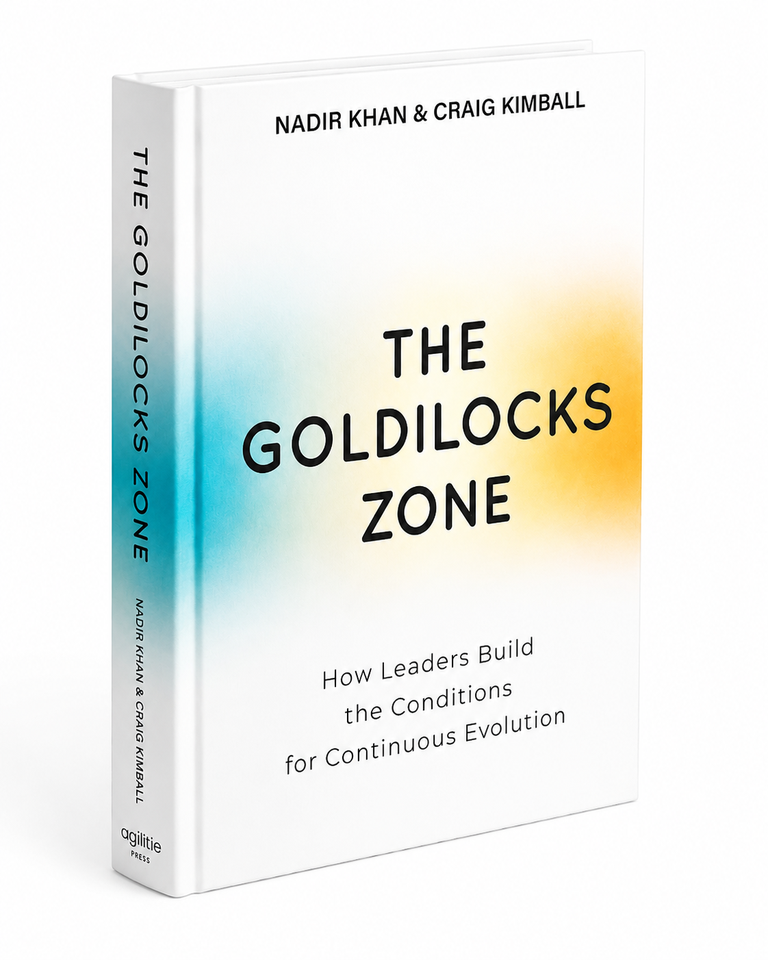 The Goldilocks Zone Book Cover